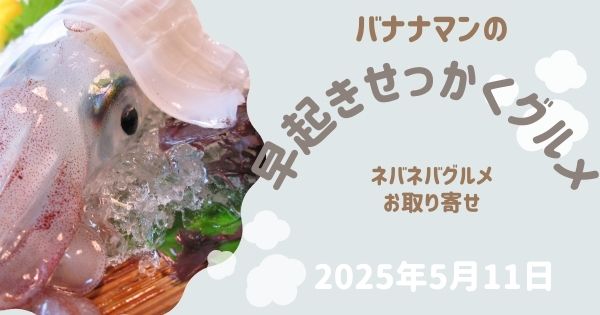 【バナナマン早起きせっかくグルメ】2025年5月の極上ネバネバグルメ３選まとめ（2025年5月11日）いかさし昆布漬　長いもわさび